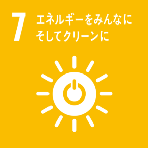 sdg7