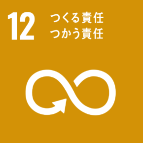 sdg12