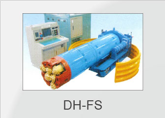 DH-FS