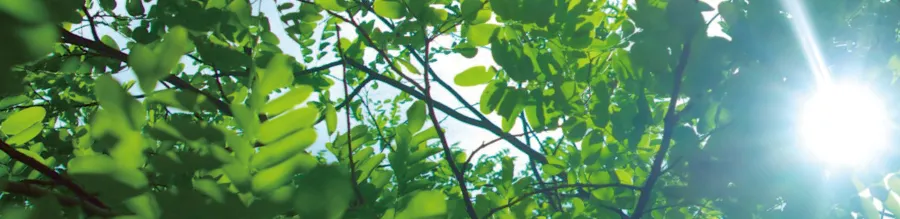 より快適な空間を演出する消臭剤