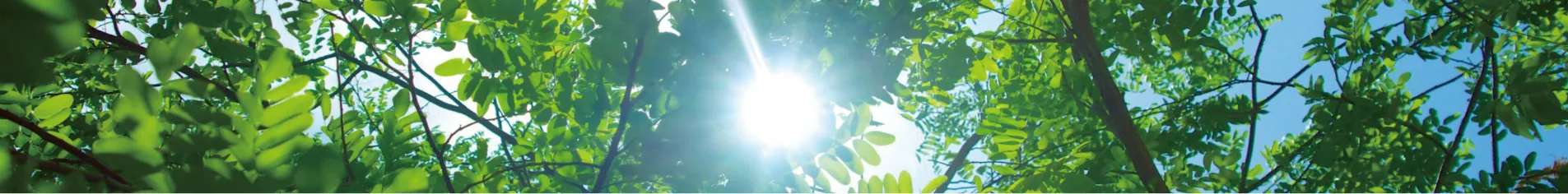 より快適な空間を演出する消臭剤