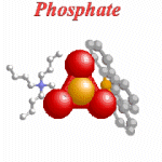 phosphate